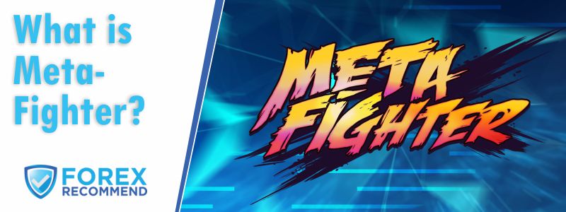 MetaFighter Review